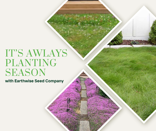 It's Always Planting Season with our Seed Mixes