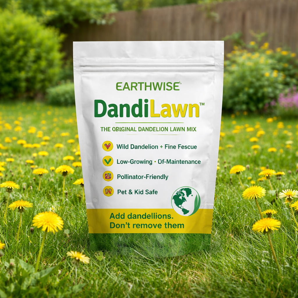 natural herbicide for dandelions DandiLawn™ Dandelion Lawn Mix