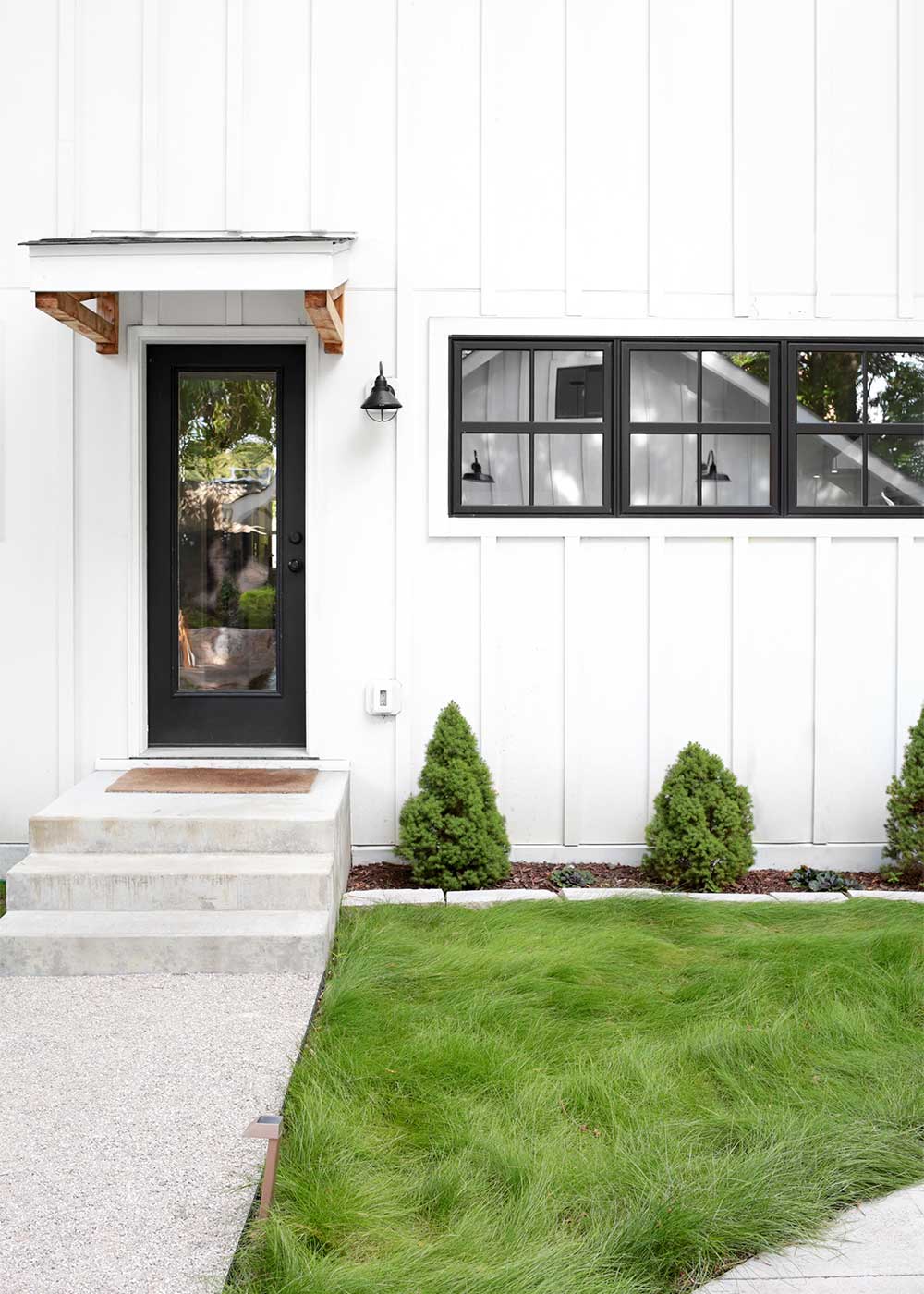 EcoSeed - The No Maintenance Lawn