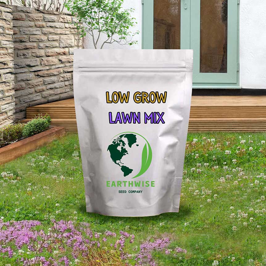 grass seed low water Low Grow No-Mow Lawn Mix – Clover & Low-Maintenance Grass Alternative 25lb
