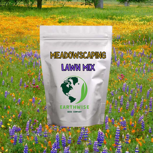 Meadowscaping Mix Alternative Lawn Seed