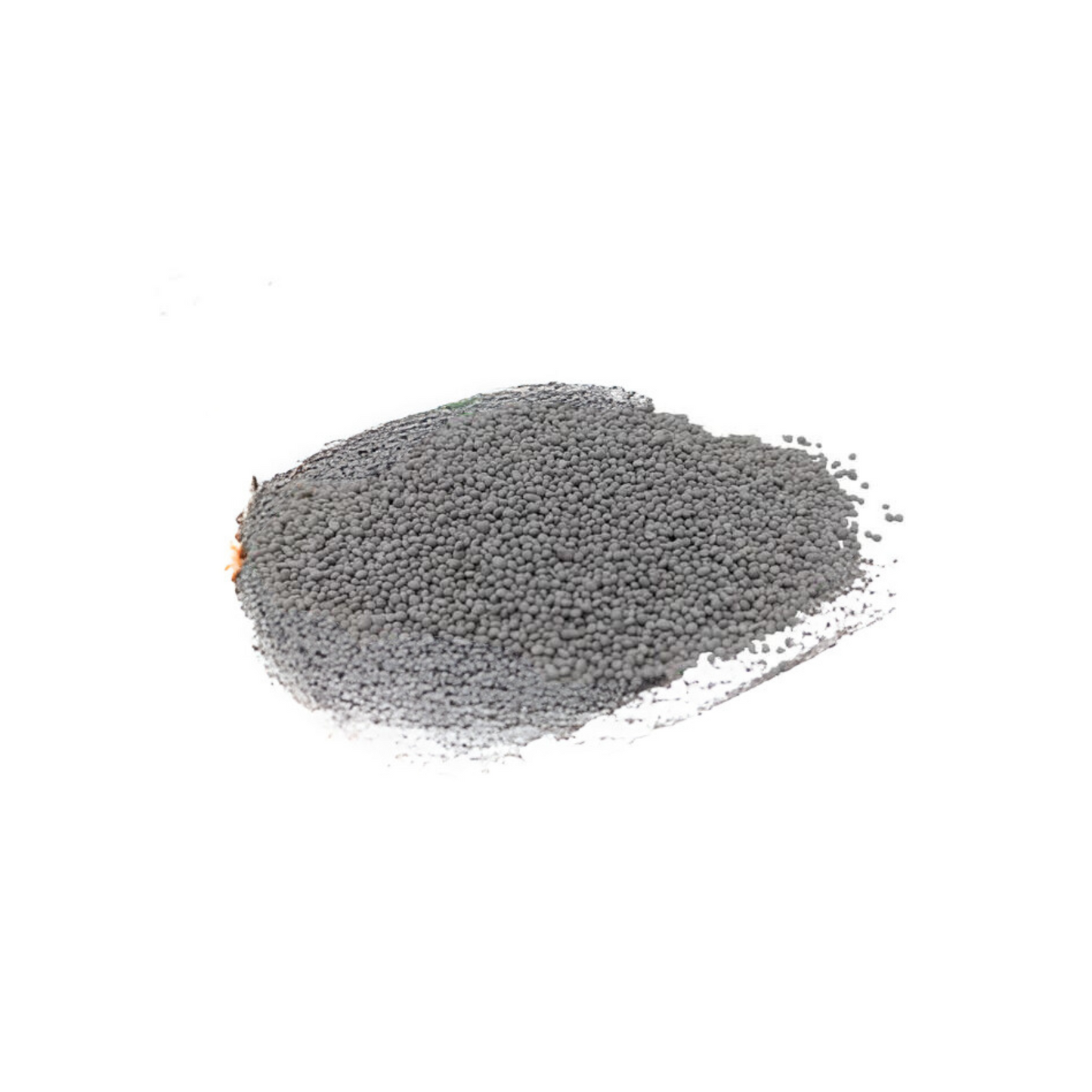 Microclover Alternative Lawn