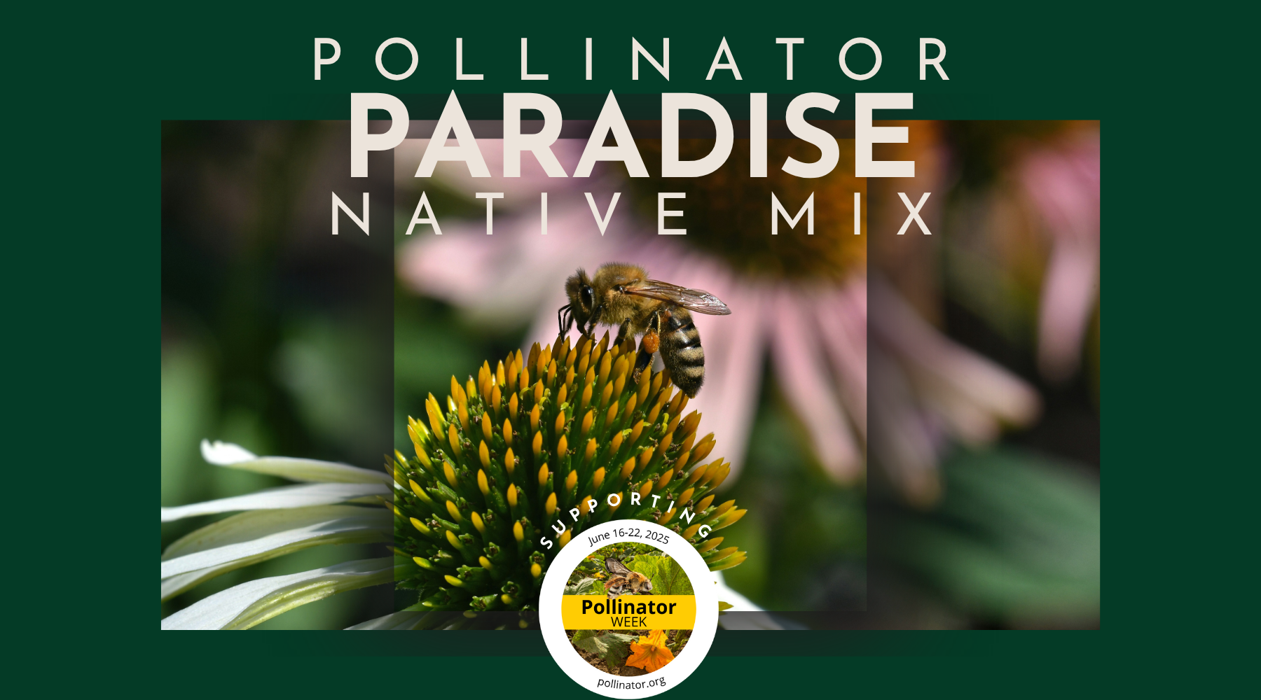 Celebrate Pollinator Week 2025 with Earthwise Seed Co.