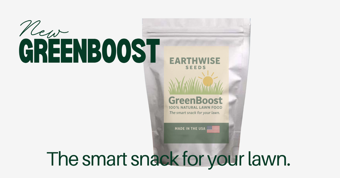 "New Greenboost: The smart Snack for your Lawn" with an image of Greenboost merchandise bag 