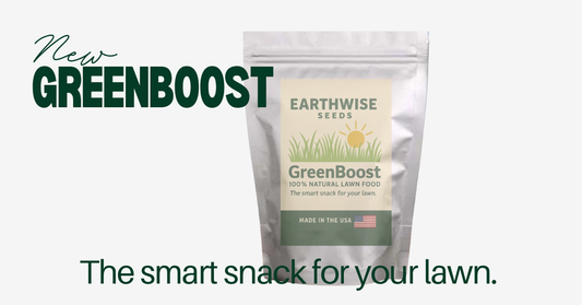 "New Greenboost: The smart Snack for your Lawn" with an image of Greenboost merchandise bag 