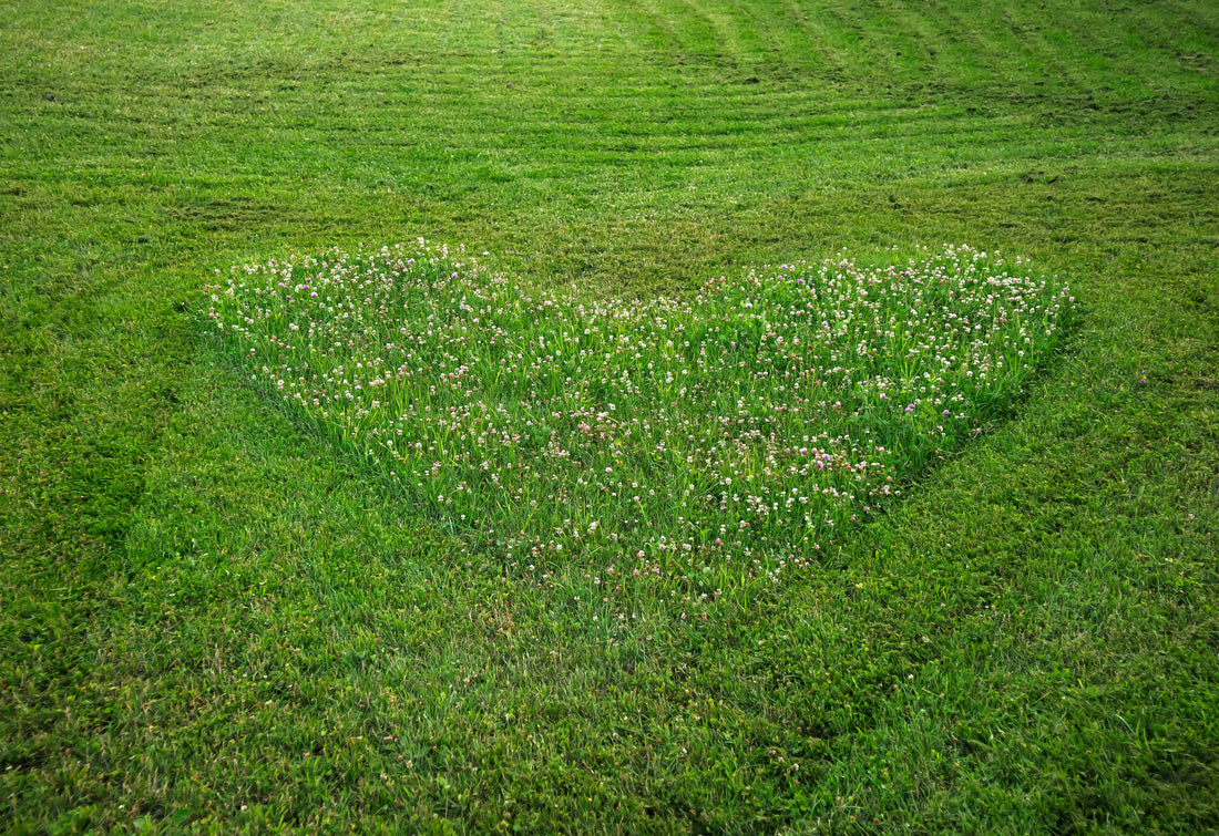 lawn mowed into a heart shape. 