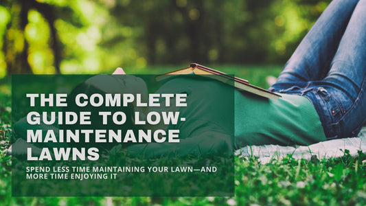 The Complete Guide to Low-Maintenance Lawns