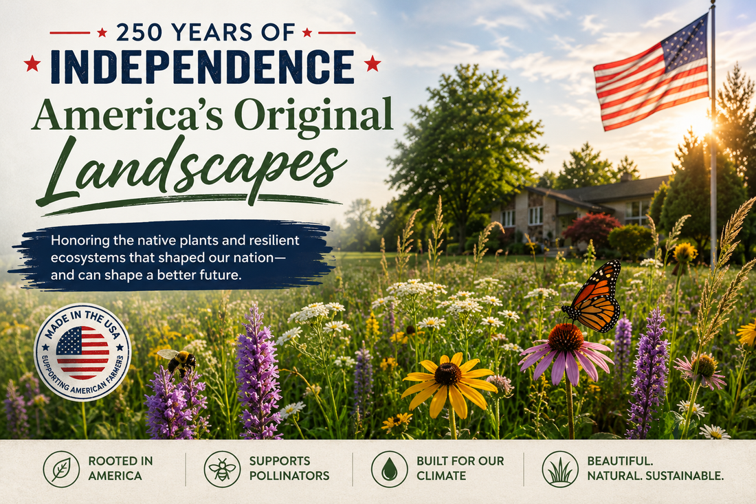 Native Since Before 1776: The Plants That Were Here Before America