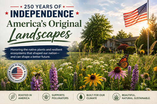 Native Since Before 1776: The Plants That Were Here Before America