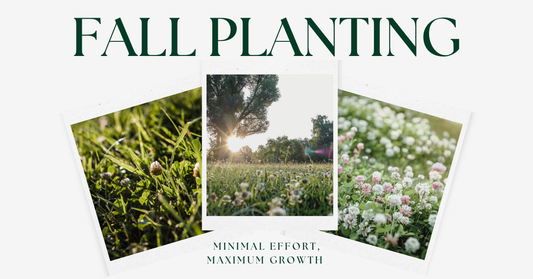 Fall PLanting: Minimal Effort. Maximum Growth. 