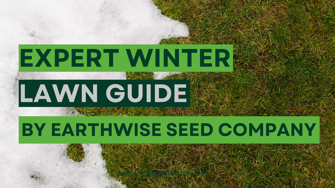 How to Prep Your Lawn in Winter for a Perfect Spring Green‑Up