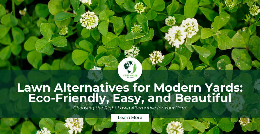 Lawn Alternatives for Modern Yards: Eco-Friendly, Easy, and Beautiful