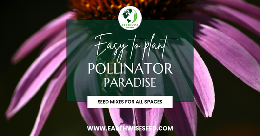 Easy to plant--pollinator paradise Native seed mix
