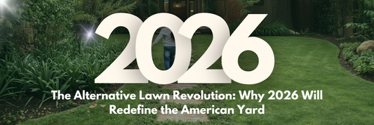 The Alternative Lawn Revolution: Why 2026 Will Redefine the American Yard