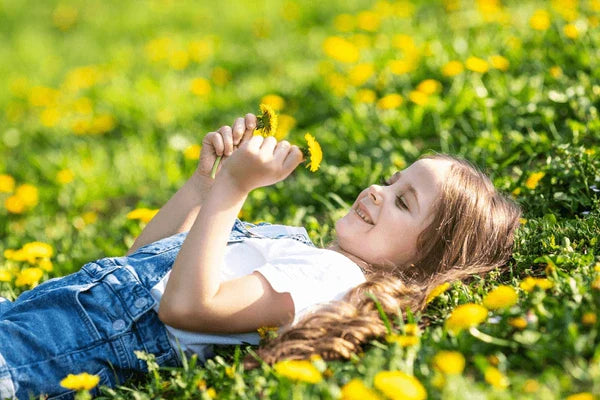 Why Were We Told to Poison Dandelions—When We Should Have Been Planting Them?