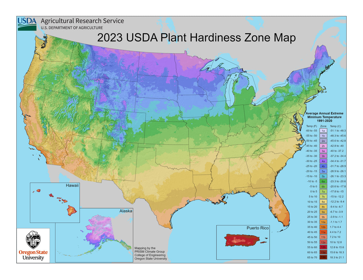 Why Late Fall and Winter Are Ideal for Sowing Lawn Seeds in Zones 8b-1 ...