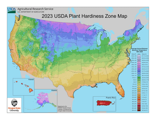 Why Late Fall and Winter Are Ideal for Sowing Lawn Seeds in Zones 8b-10b