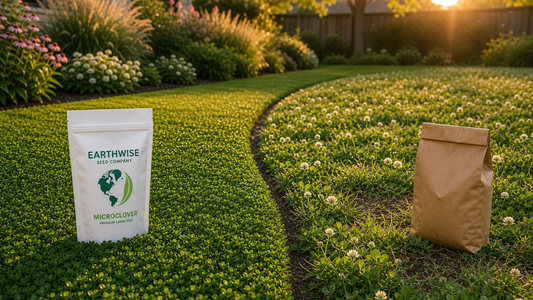 Home lawn showing a tidy Microclover and fine‑fescue blend on one side and a taller, bloom‑rich clover patch on the other, with a seed tag and handful of pure seed in the foregroun