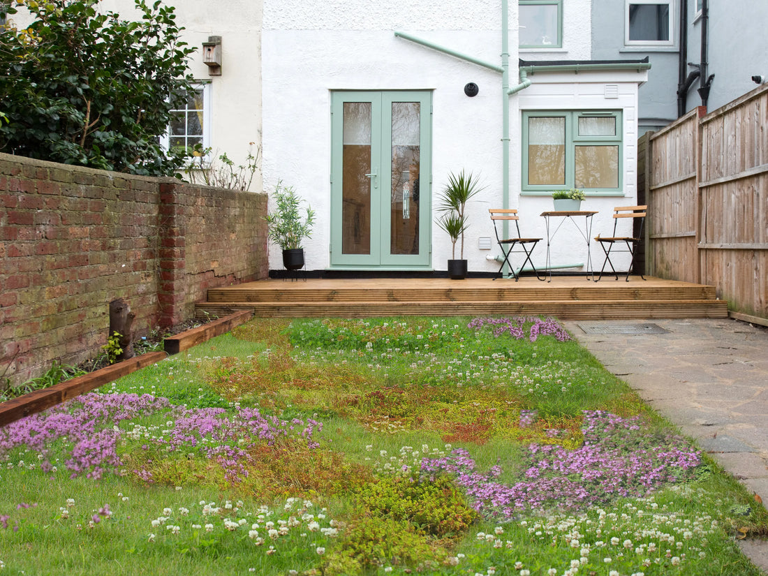 Lazy Lawns: The Newest Trend in Sustainable Landscaping