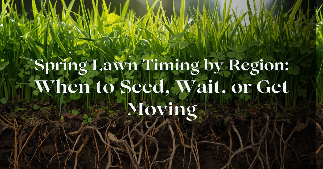 Spring Lawn Timing by Region: When to Seed, Wait, or Get Moving