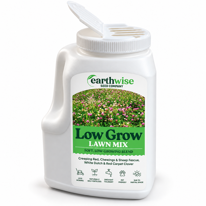 Magic Seed Low Grow | Bare Soil & Bare Spot Repair