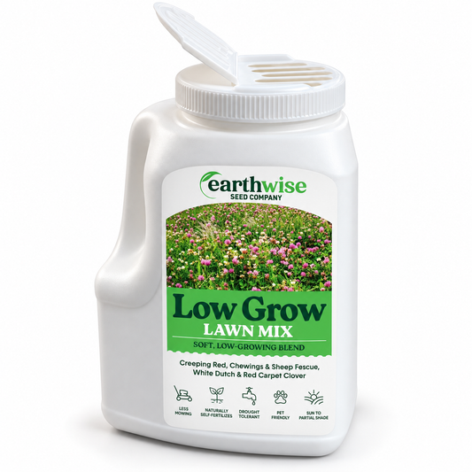 Magic Seed Low Grow | Bare Soil & Bare Spot Repair