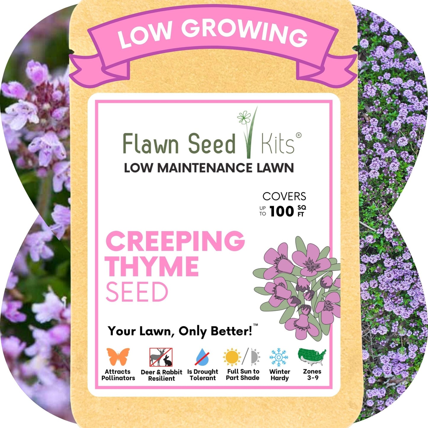 Red Creeping Thyme Seed Pouch - Low Growing Alternative Lawn
