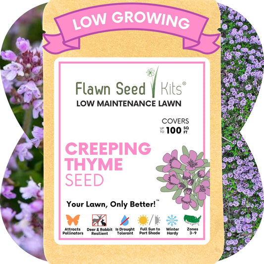Red Creeping Thyme Seed Pouch - Low Growing Alternative Lawn