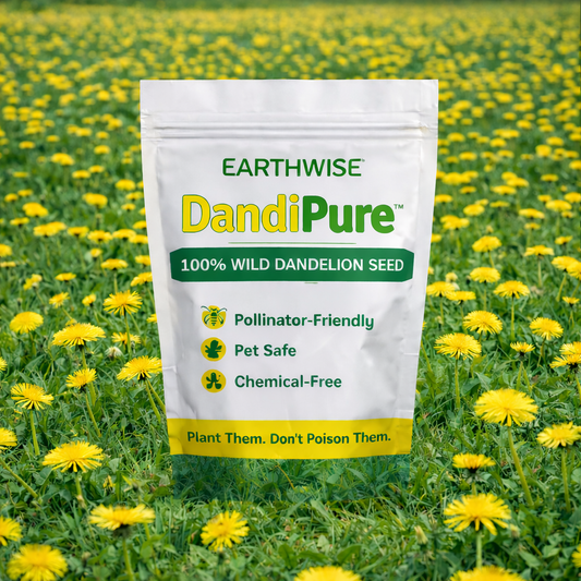 DandiPure™ – Wild Dandelion Seed | Pollinator-Friendly, Edible, Chemical-Free Lawn