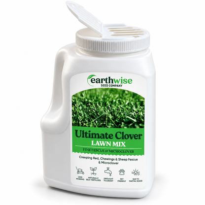 Magic Seed Ultimate Clover | Bare Soil & Bare Spot Repair