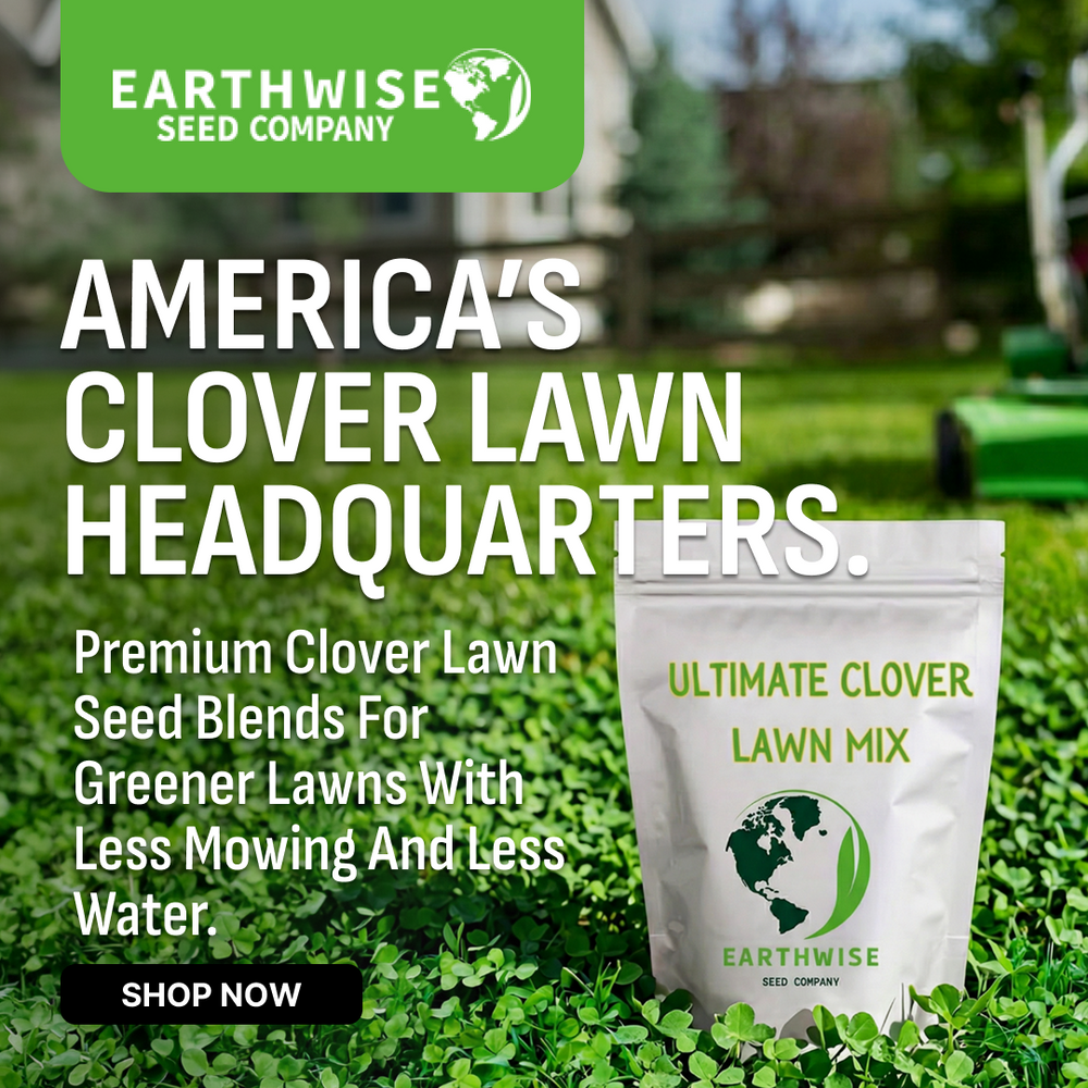 Use Less Water. Mow Less. Grow Smarter. | Earthwise Seed Co.