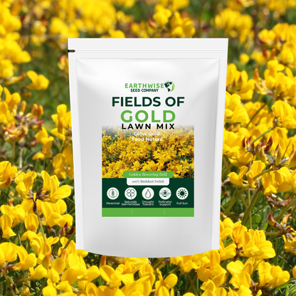 Earthwise Fields of Gold™ Natural Low Growing Ground Cover