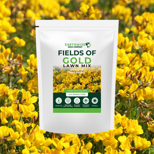 Earthwise Fields of Gold™ Natural Low Growing Ground Cover