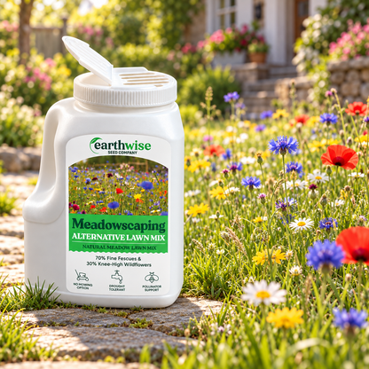Magic Seed Meadowscaping | Bare Soil & Meadow Patch Repair