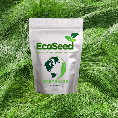 EcoSeed - The No Maintenance Lawn