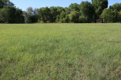 TrueGrass Native Lawn Mix