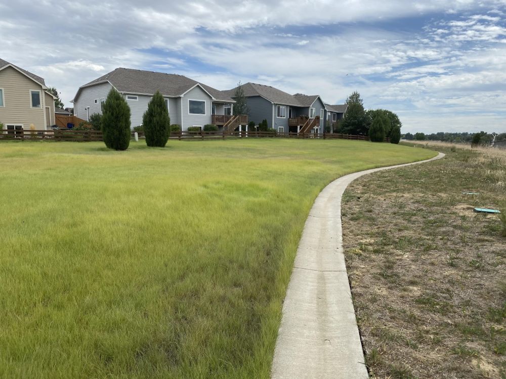 TrueGrass Native Lawn Mix