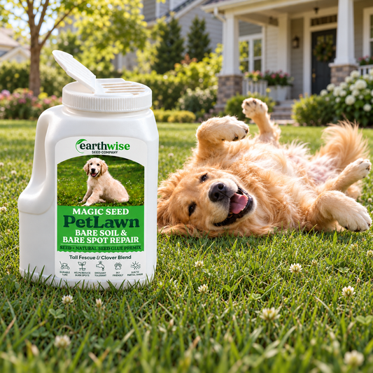Magic Seed PetLawn | Bare Soil & Bare Spot Repair