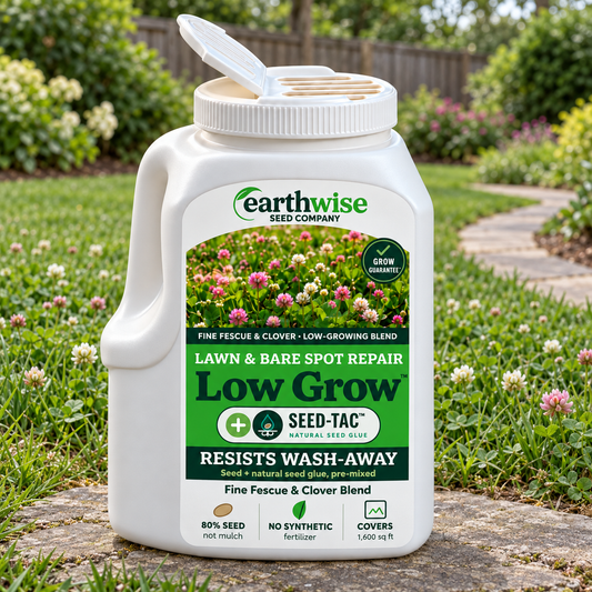 Magic Seed Low Grow | Bare Soil & Bare Spot Repair