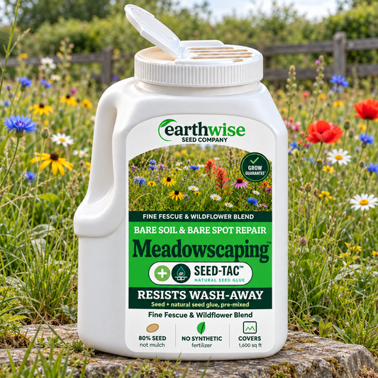 Magic Seed Meadowscaping | Bare Soil & Meadow Patch Repair