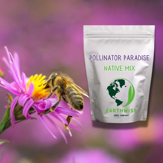 Pollinator Paradise Native Mix