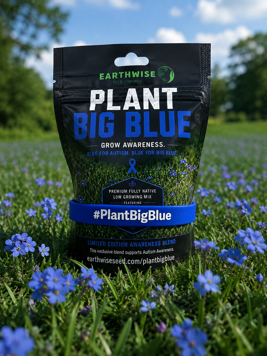 Earthwise Plant Big Blue seed packet in a field with blue flowers