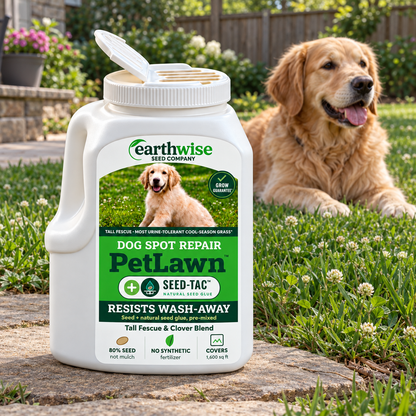 Magic Seed PetLawn | Bare Soil & Bare Spot Repair