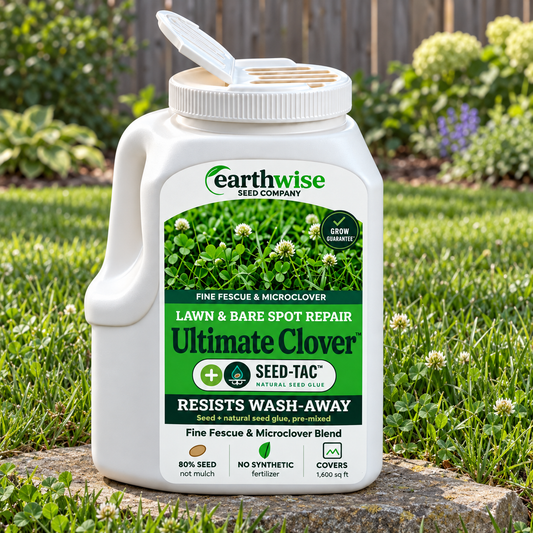 Magic Seed Ultimate Clover | Bare Soil & Bare Spot Repair