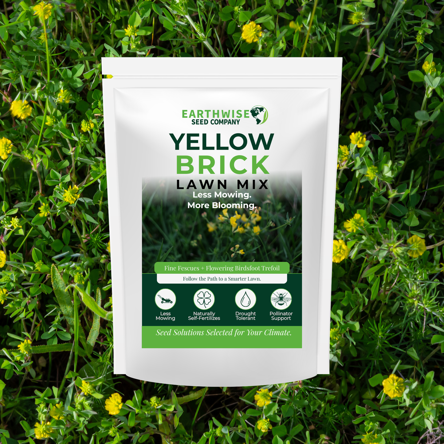 Earthwise Yellow Brick Lawn™ Natural Low Growing Lawn Seed