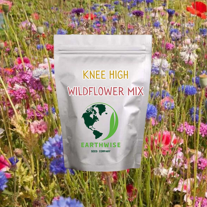 large bag of wild flower seeds Knee High Wildflower Meadow Blend – Earthwise Seed
