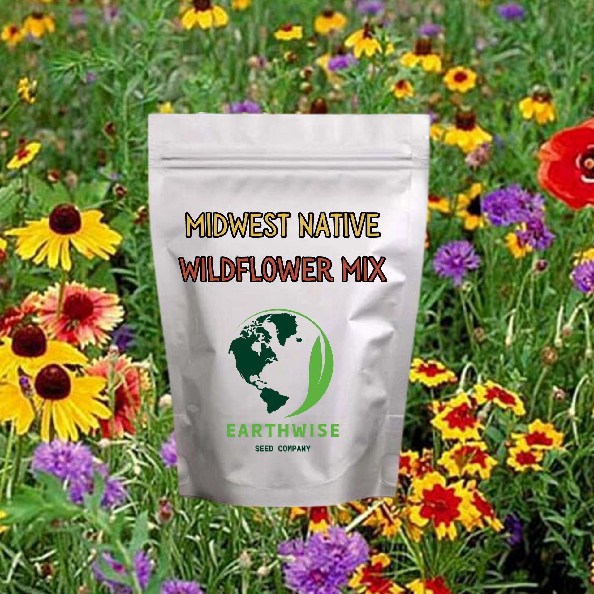 Midwest Native Wildflower Mix 1/2 lb
