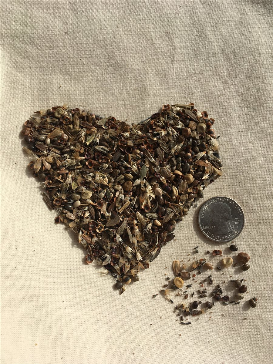 deer proof wildflower seed mix No Deer Here Wildflower Mix
