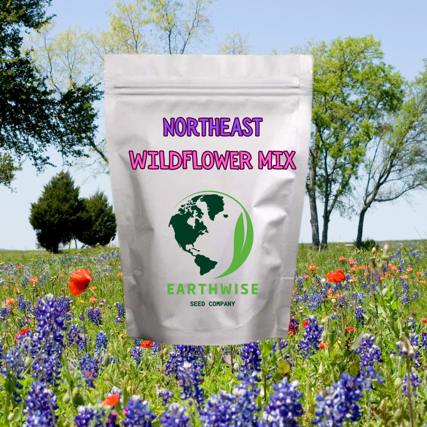 Northeast Native & Naturalized Wildflower Mix