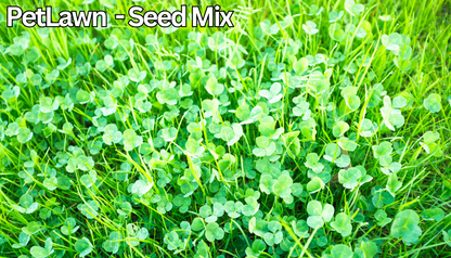 best grass seed to plant with dogs PetLawn Mix